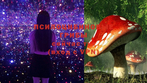 твердый Алексеевка