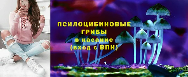 твердый Алексеевка